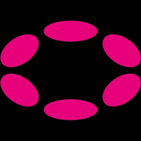Polkadot ecosystem eyed by Frank McCourt for TikTok expansion By Investing.com