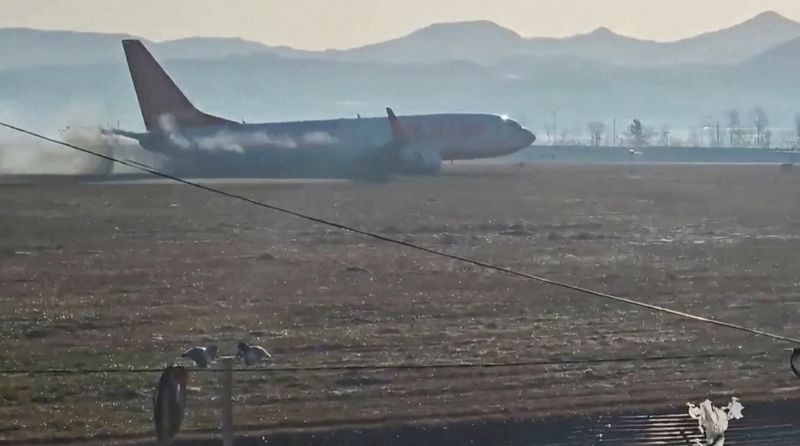 © Reuters. Black smoke emits from Jeju Air aircraft flight 7C2216 as it veers off the runway before crashing at Muan International Airport in Muan, South Korea December 29, 2024 in this screengrab obtained from video. Lee Geun-young/via REUTERS 