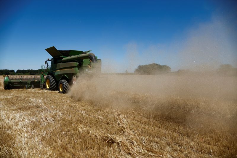 © Reuters. FILE PHOTO: A Deere & Co. John Deere combine harvester cuts through a field of wheat during the summer harvest in Survilliers, France, July 15, 2022. REUTERS/Benoit Tessier/File photo